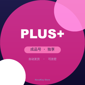 ChatGPT Plus 成品号（已接码·独享）