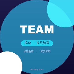 ChatGPT Team 席位（月卡）
